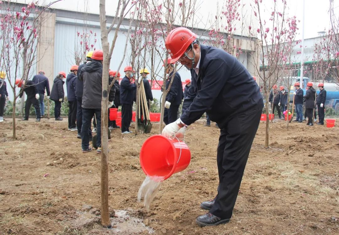 不负好春光 植树添新绿